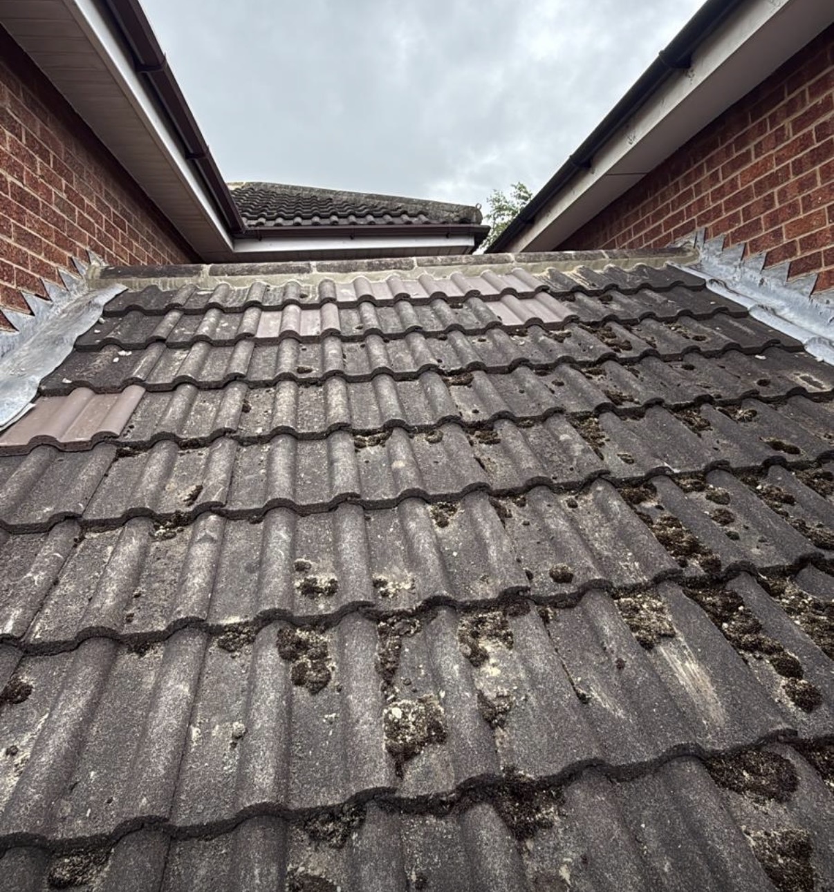 Roof repair in progress with tidy detailing